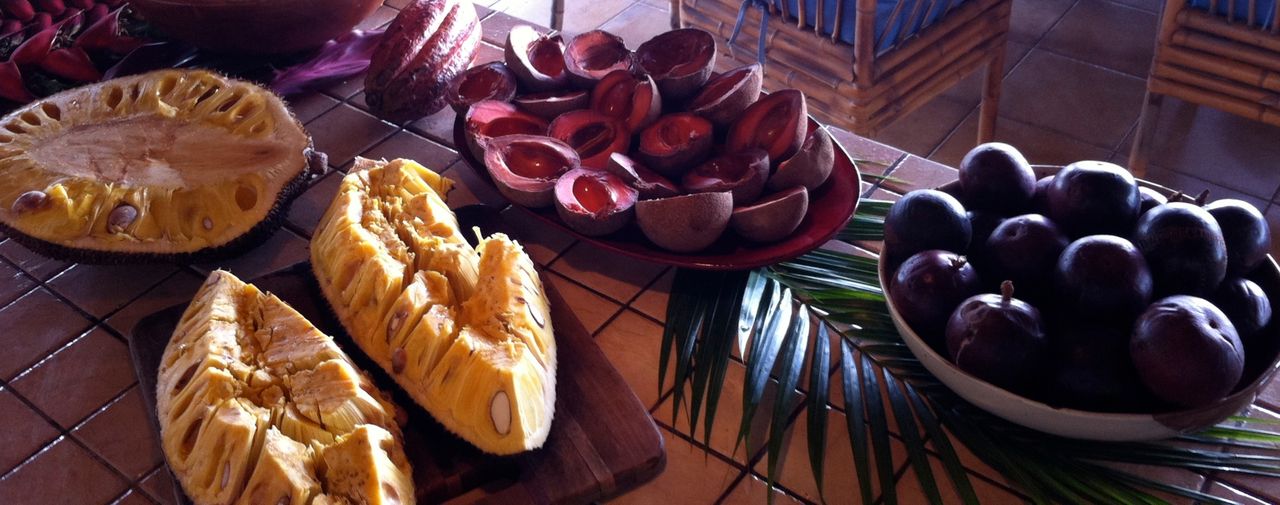 Affordable Vacation for the Healthy Lifestyle & Natural Healing Center