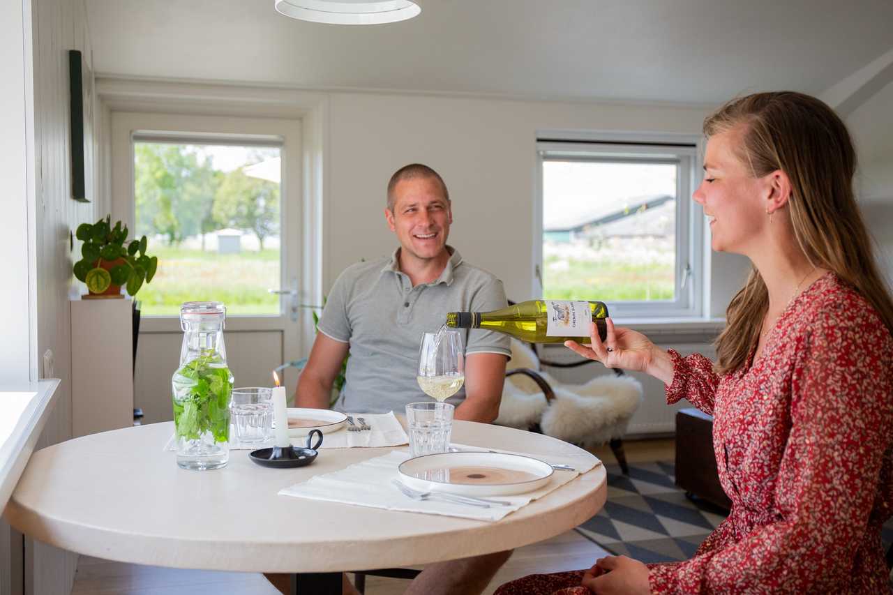 Modern apartments in old farmhouse, Frisian lake district