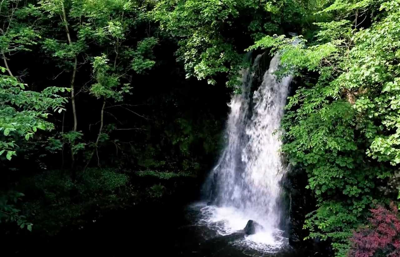Waterfall Retreat