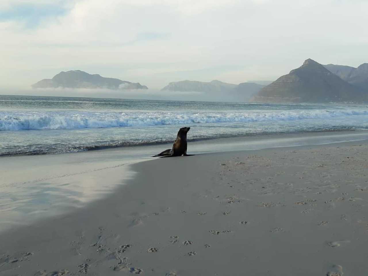 Magical, peaceful and good for the soul, Kommetjie