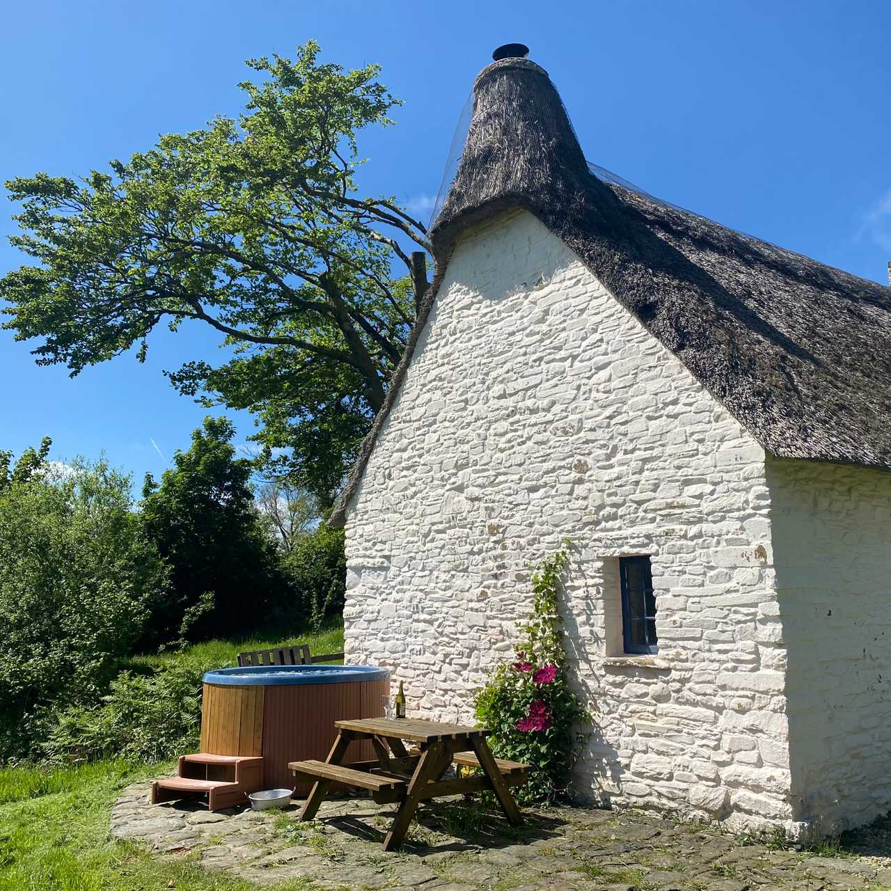 Magical 18th thatched cottage with stunning views, amazing vegan meals & hot tub
