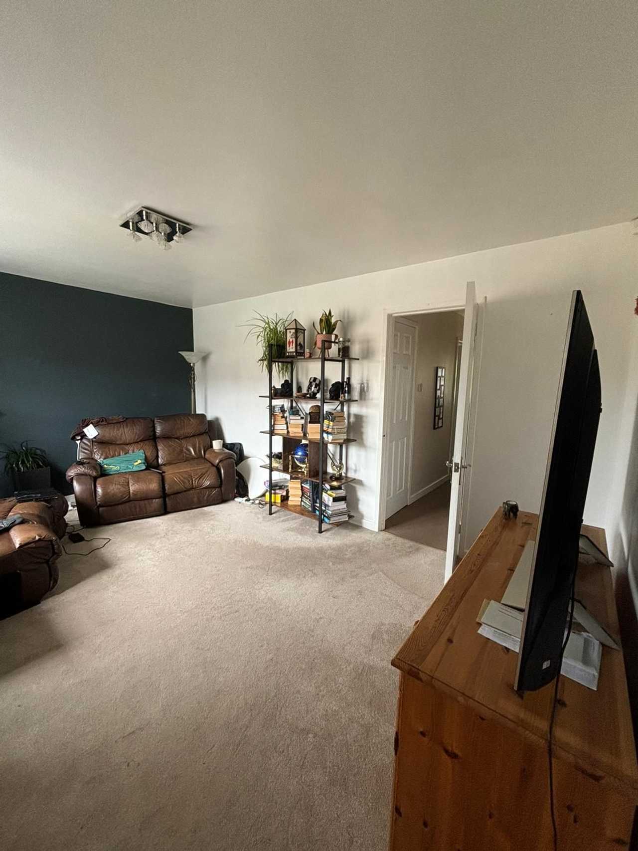 Spare room in a lovely plant-based household