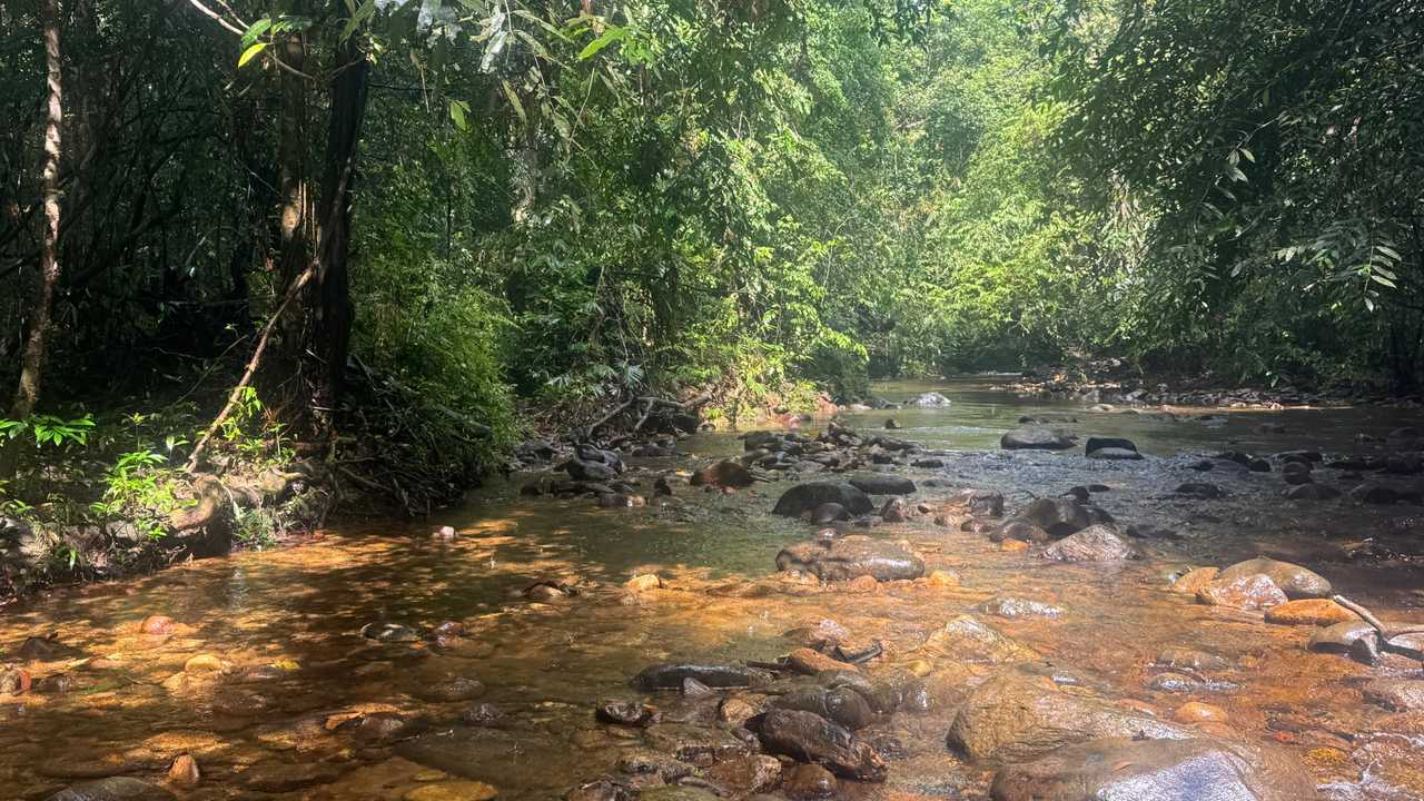 Wild hikes Nature Views and River Escapes.Rustic fores cottage With all 3 meals