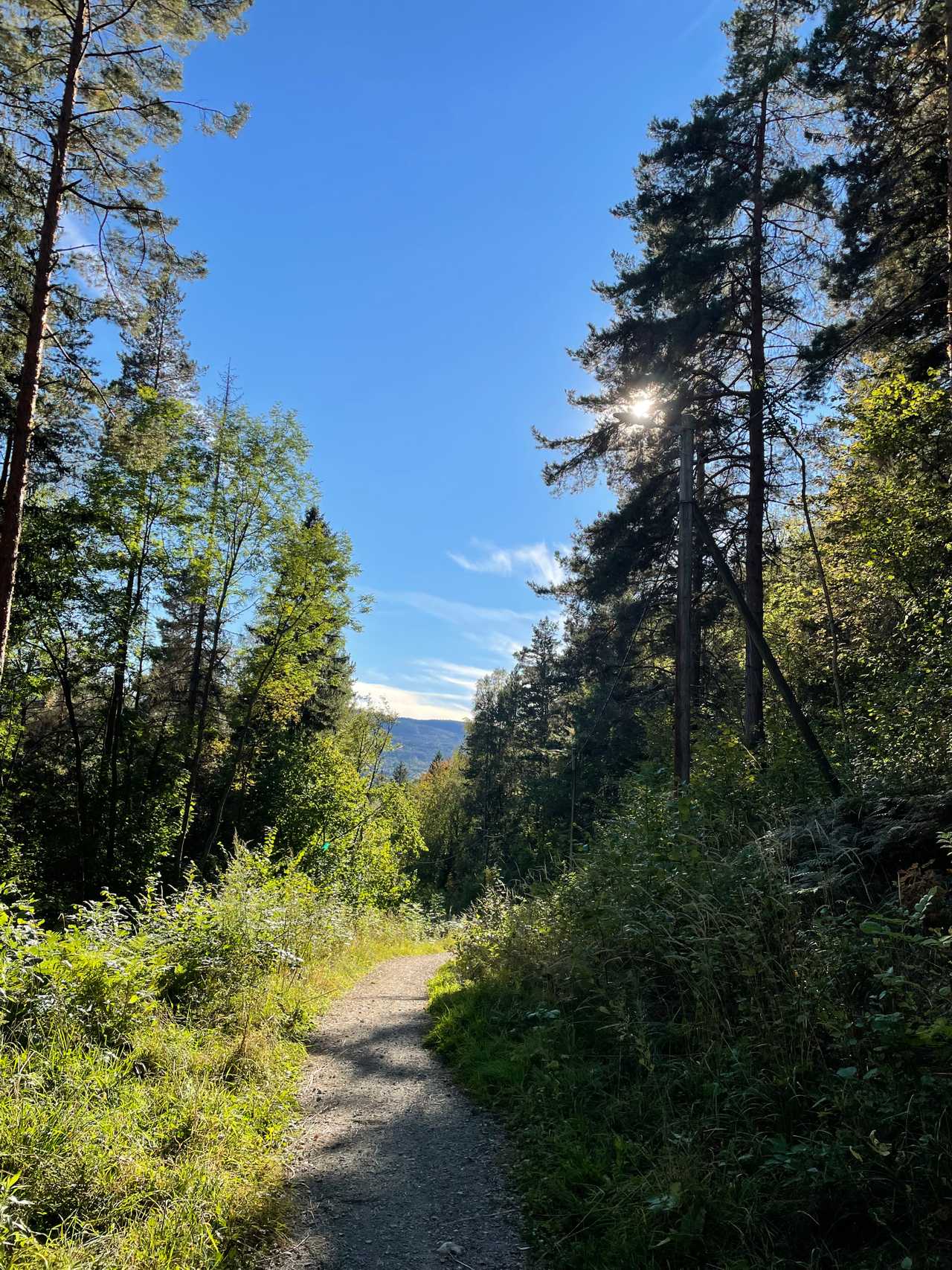 Hiking area nearby Oslo and Drammen 