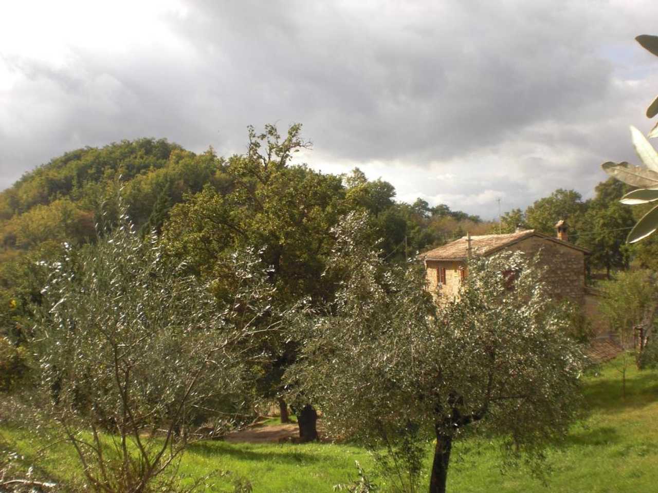 Nelle terre di San Francesco