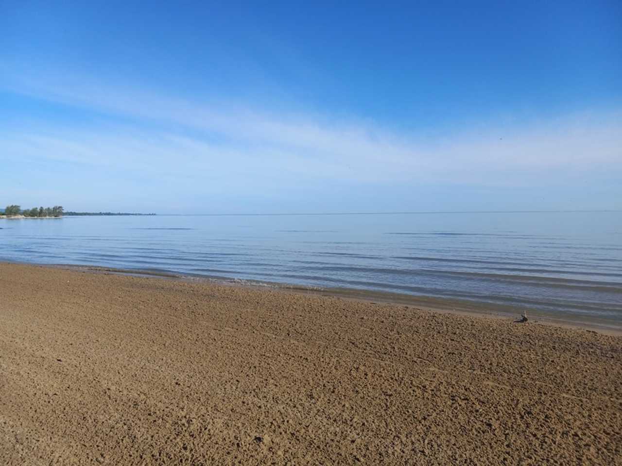 The Beach Bunkie