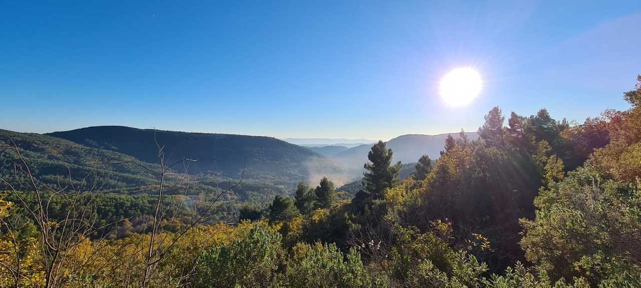 Abriecosy - a heaven of peace in the forest of Bargemon, Provence