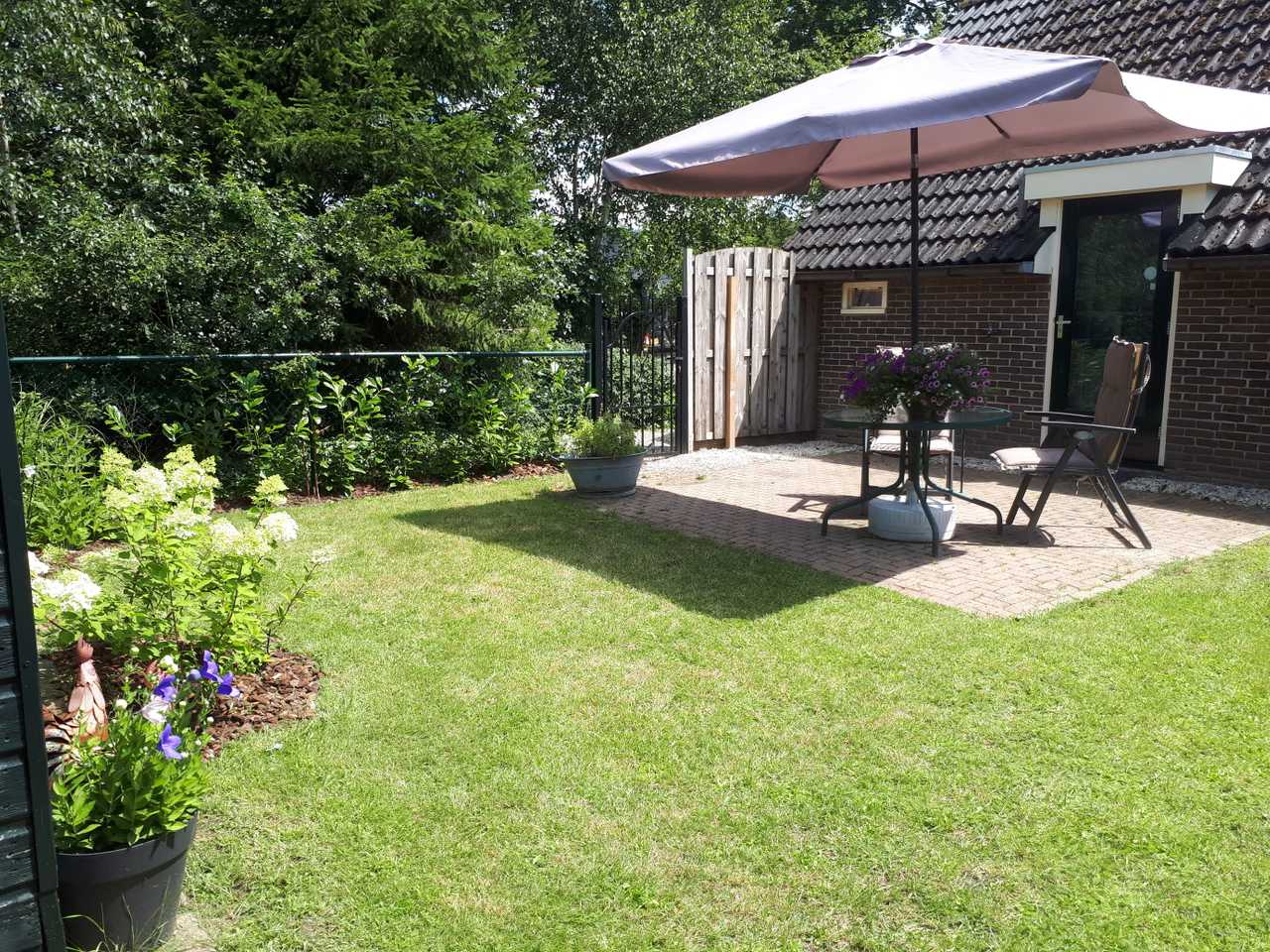 Lovely dog friendly cottage, in forest surrounding for wonderful walks & swims