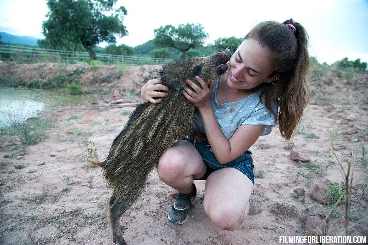 Hospedaje solidario La Cabaña dentro de un santuario de animales rescatados