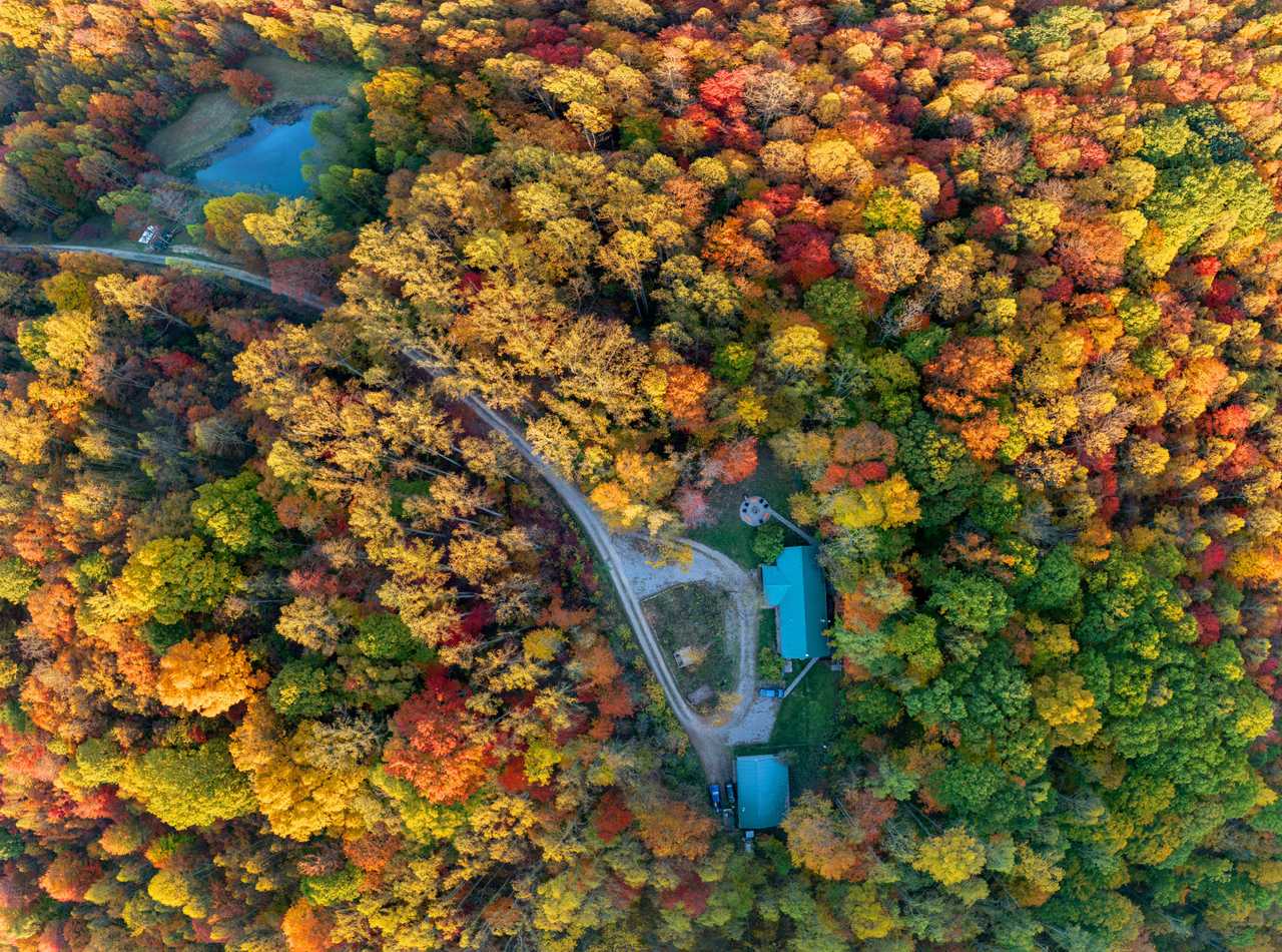 Sculptor's Art Lodge Hocking Hills - Adult-Only on Private Nature Sanctuary