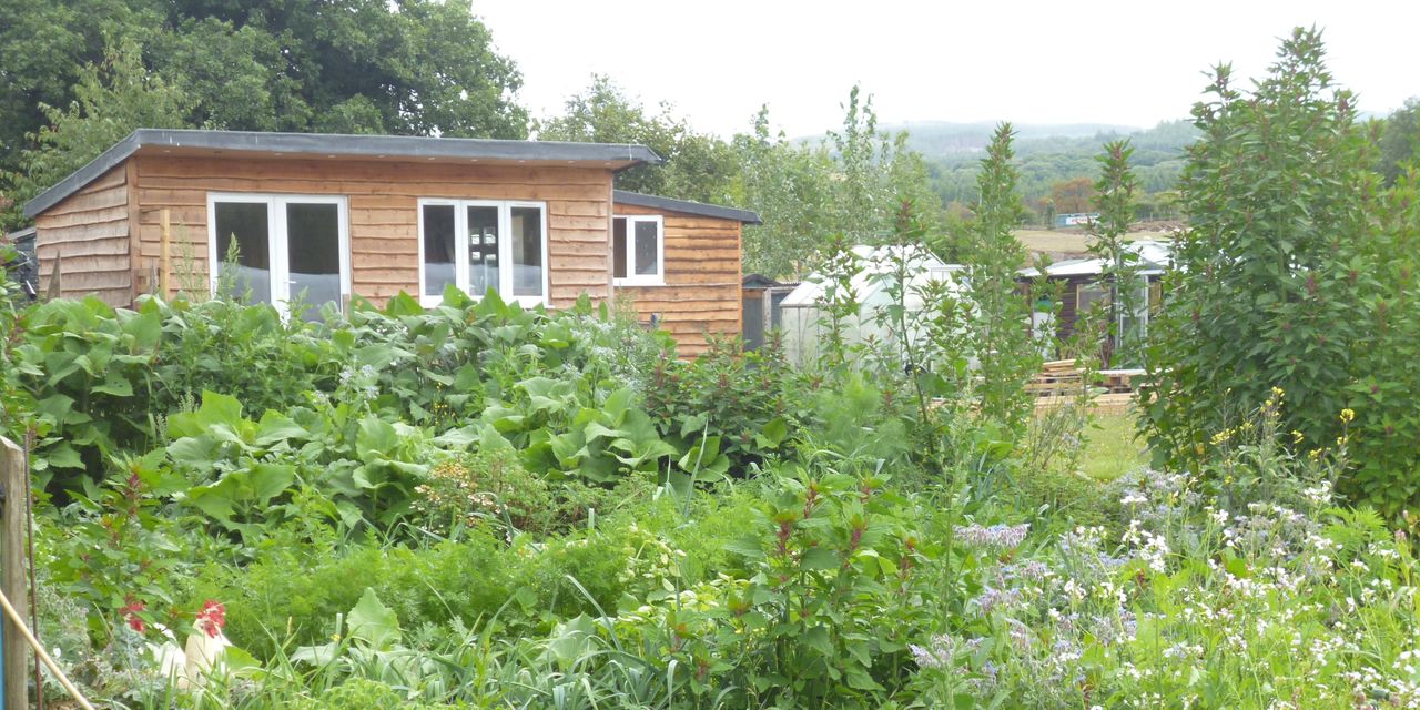 Alan & Cathy's Vegan Health Retreat