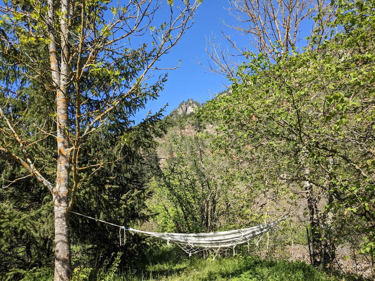 Peaceful place in the nature, vegan meals, yoga, soundhealing and massages